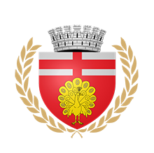 Direcția Servicii Publice Botosani